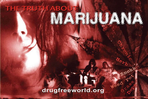 Az igazság a marihuánáról